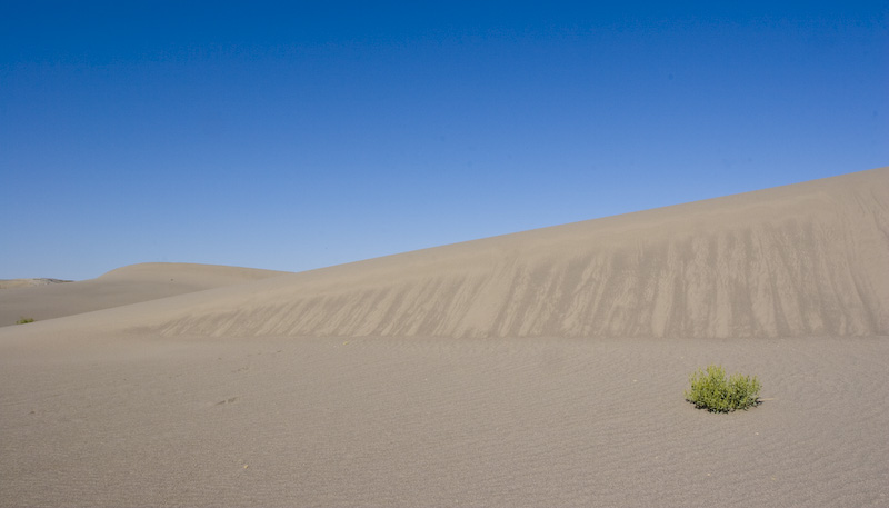 Sand Dune